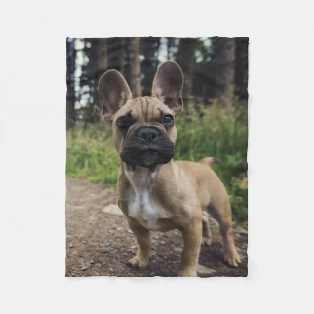 Cobertor De Velo French Bulldog Throw Pillow (Frente)