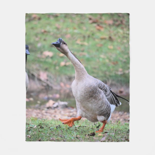 Cobertor De Velo ganso do bobo (Frente)