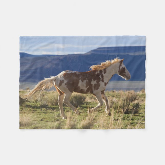 Cobertor De Velo Garanteando Stallion, Montanhas Steens, Oregon (Frente (Horizontal))