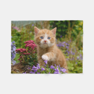 Cobertor De Velo Gatinho bonito do gengibre em um jardim