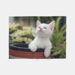 Cobertor De Velo Gatinho branco turco
