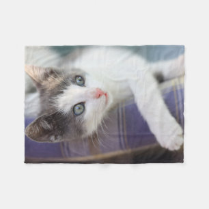 Cobertor De Velo Gatinho doce na cama da xadrez