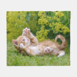 Cobertor De Velo Gatinho engraçado bonito brincando num jardim flor