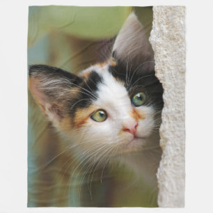 Cobertor De Velo Gatinho Gato Curioso Olhando com Olhos de Rezar -