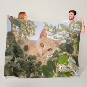 Cobertor De Velo Gatinho Gato-Gato-Gato-Gato-Gato escalado numa árv