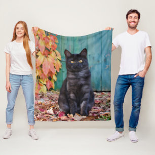 Cobertor De Velo Gatinho Gato Negro Bonito com Porta Azul Vermelha.