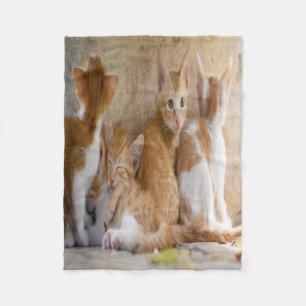 Cobertor De Velo Gatinho Listrado Laranja e Branco/Adicione a Foto