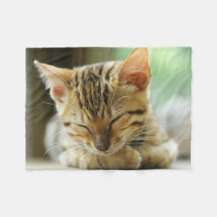 Cobertor De Velo Gatinho pequeno do bebê do sono