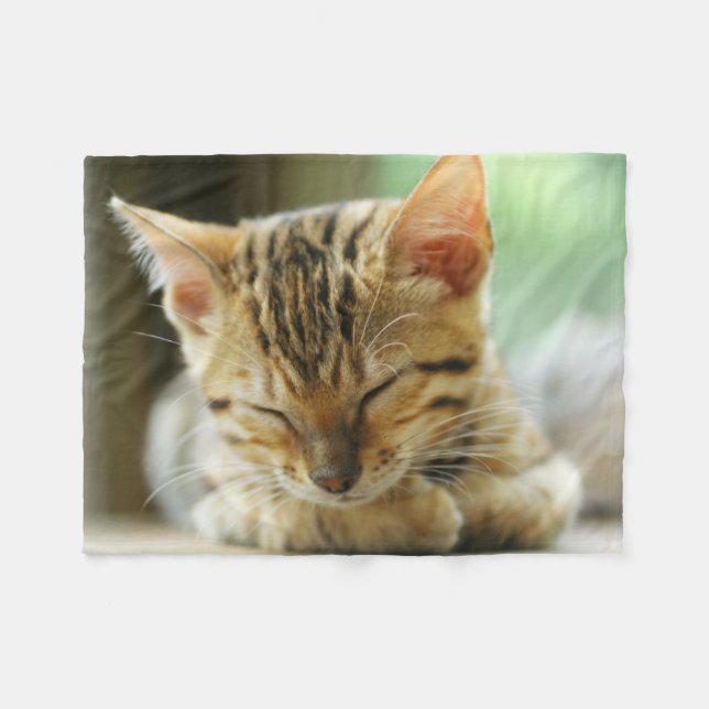 Cobertor De Velo Gatinho pequeno do bebê do sono (Frente (Horizontal))