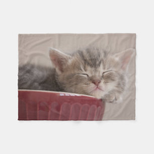 Cobertor De Velo Gatinho que dorme em uma bacia