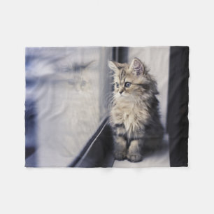 Cobertor De Velo Gatinho que olha para fora a janela
