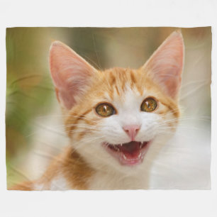 Cobertor De Velo Gatinho Sorridente Enfrentando Gato Engraçado Foto