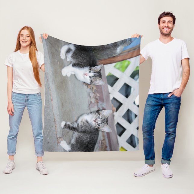 Cobertor De Velo Gatinhos (In Situ)