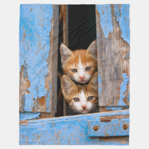 Cobertor De Velo Gatinhos bonitos em uma janela antiga -
