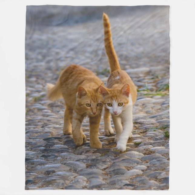 Cobertor De Velo Gatinhos companheiros bonitos caminham pelo mesmo  (Frente)