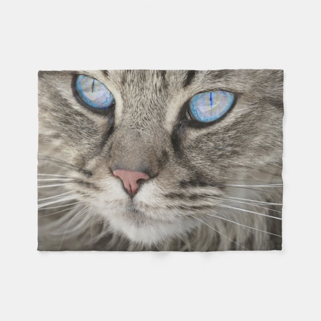 Cobertor De Velo Gato Bonito Close-up (Frente (Horizontal))