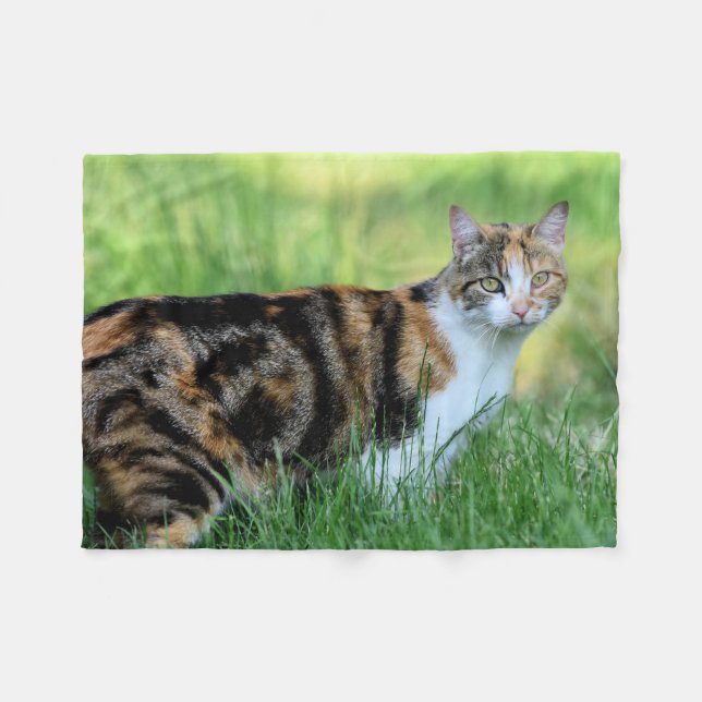 Cobertor De Velo Gato marrom e branco (Frente (Horizontal))