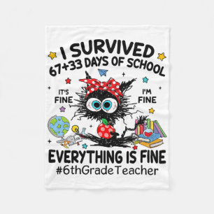Cobertor De Velo Gato Preto Sobrevivi 67+33 Dias De Escola 6º Ano