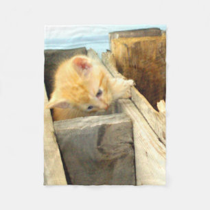 Cobertor De Velo Gatos De Meia 1 Folha