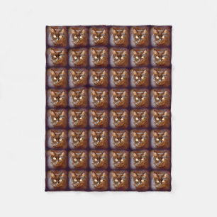 Cobertor De Velo gatos pretos