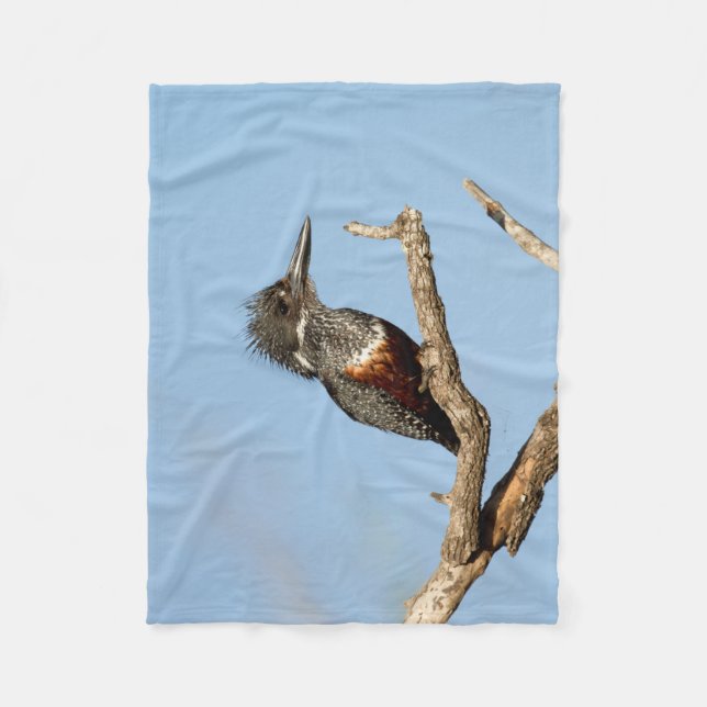 Cobertor De Velo Giant Kingfisher (Frente)