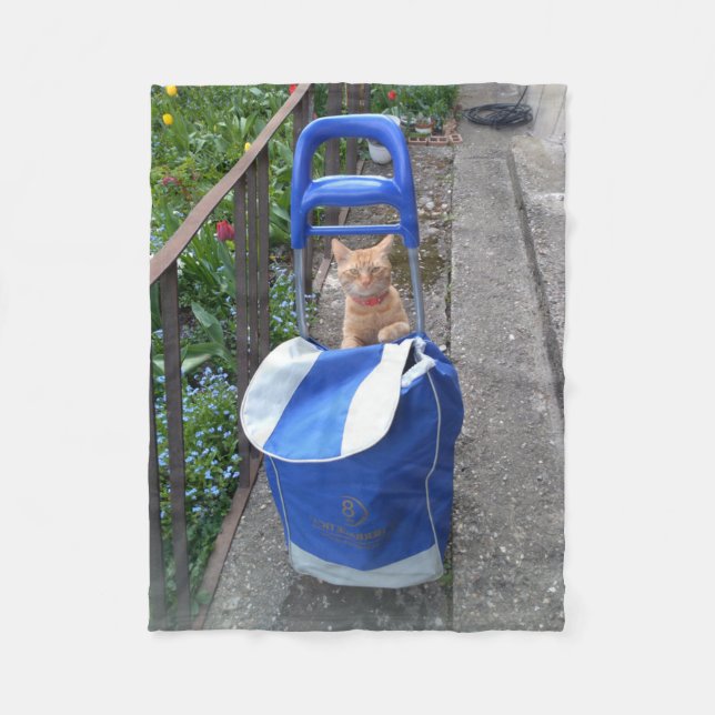 Cobertor De Velo Ginger Cat Fleece Blanket (Frente)