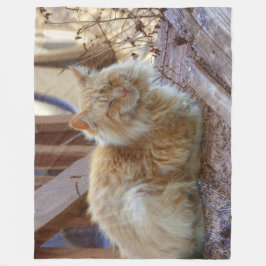 Cobertor De Velo Ginger George