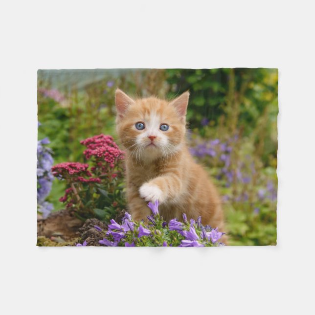 Cobertor De Velo Ginger kitten em um jardim (Frente (Horizontal))