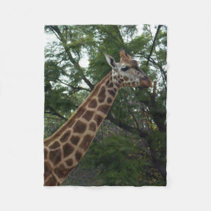 Cobertor De Velo Giraffe Adventure, Pequeno