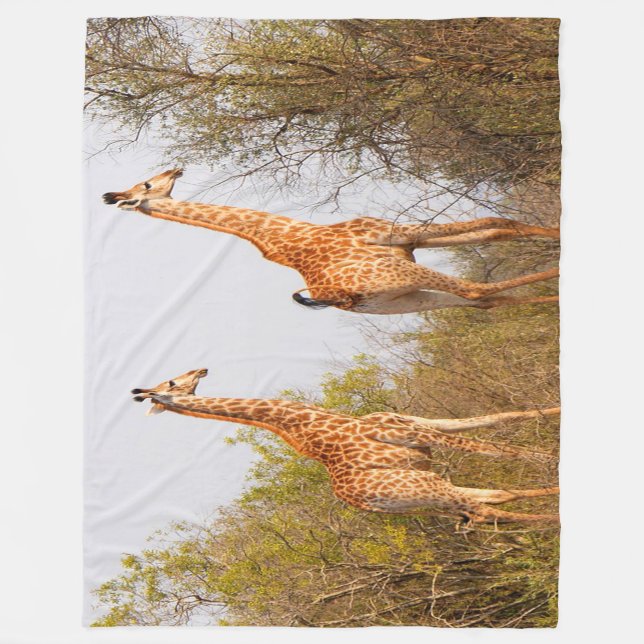 Cobertor De Velo Giraffe Pair (Frente)