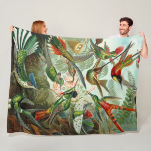 Cobertor De Velo Gordo Ernst Haeckel Hummingbird