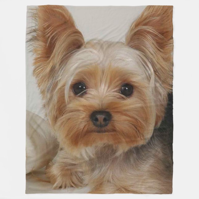 Cobertor De Velo Gorgeous Yorkshire Terrier (Frente)