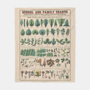 Cobertor De Velo Gráfico Antigo da Escola Botânica Natureza Vintage