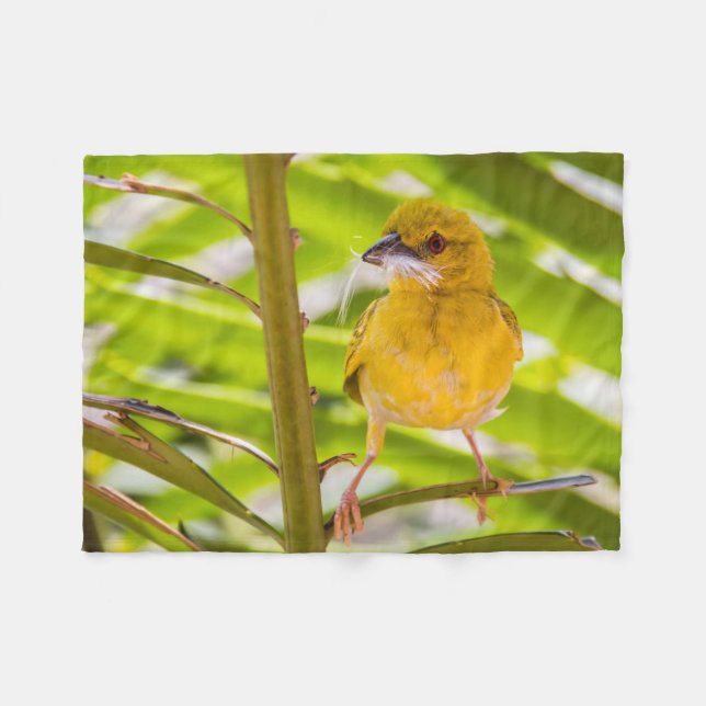 Cobertor De Velo Hora de construir o ninho (Frente (Horizontal))