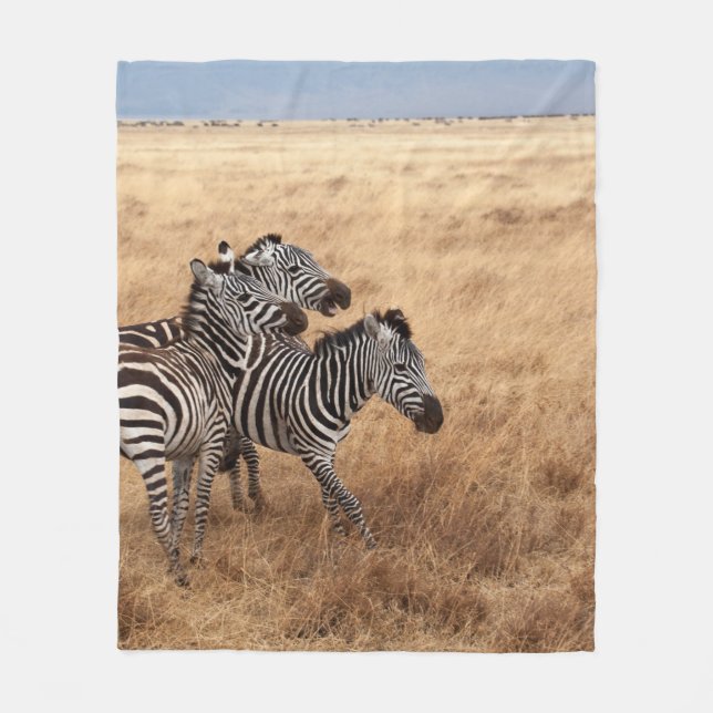 COBERTOR DE VELO HORSE RACE (Frente)