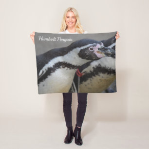 Cobertor De Velo Humbolt Penguin no Zoo Drusillas em East Sussex Mã