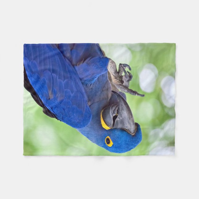 Cobertor De Velo Hyacinth Macaw Bird (Frente (Horizontal))