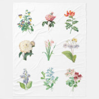 Ilustrações de Flor de Vintage