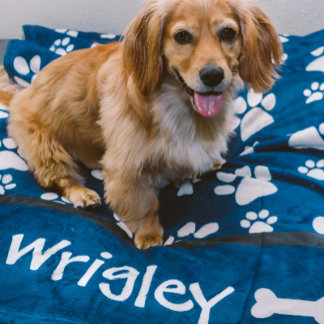 Cobertor De Velo Impressões personalizadas de pata-presente para Mã