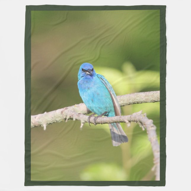 Cobertor De Velo Indigo Bunting (Frente)