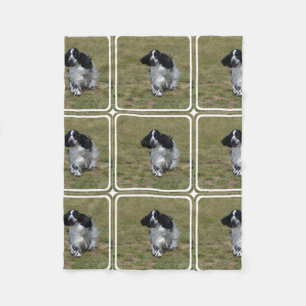 Cobertor De Velo Inglês adorável cocker spaniel