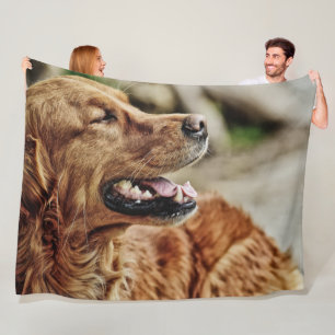 COBERTOR DE VELO IRISH SETTER