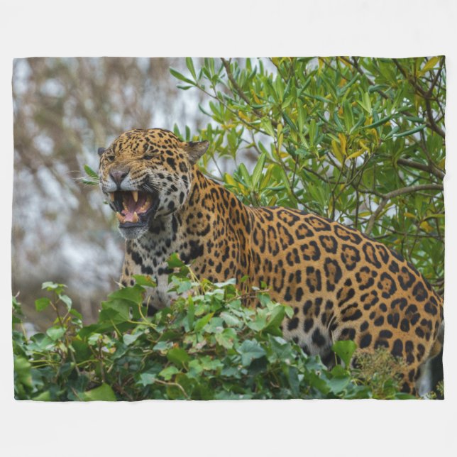 Cobertor De Velo Jaguar Growth (Frente (Horizontal))