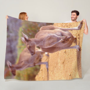Cobertor De Velo JOEY e MOM KANGAROO