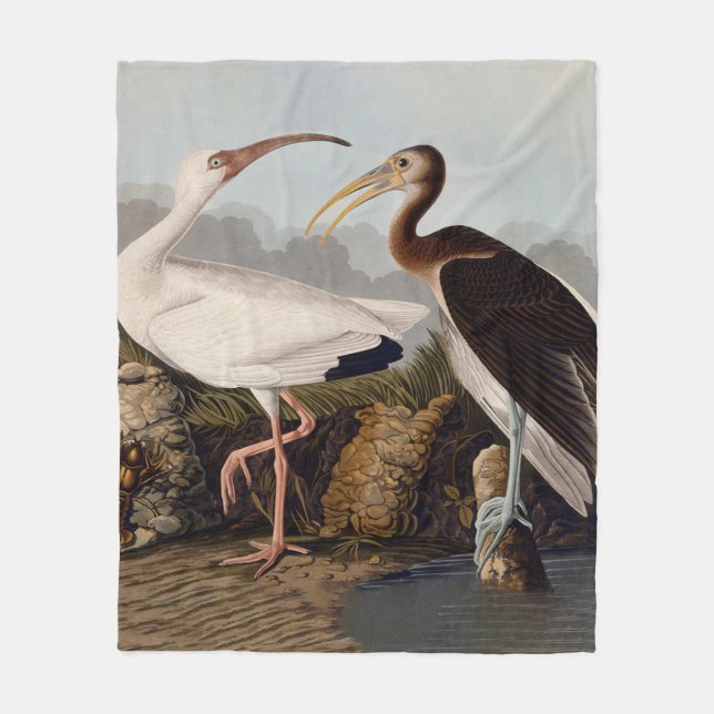 Cobertor De Velo John James Audubon White Ibis Bird Print Classic (Frente)