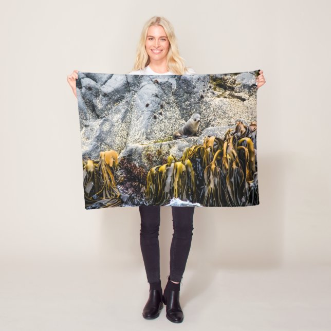 Cobertor De Velo Jovem Selo De Peles Na Rocha (In Situ)