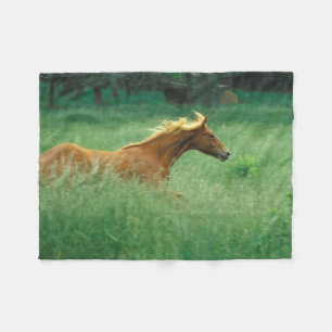 Cobertor De Velo Jovem Stallion Atravessa O Prado