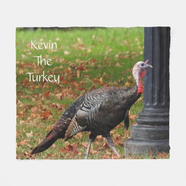 Cobertor De Velo Kevin The Turkey - Old Wethersfield, CT (Frente (Horizontal))