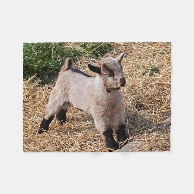 Cobertor De Velo Kid Fleece Blanket (Frente (Horizontal))