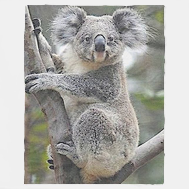 COBERTOR DE VELO KOALA BEAR (Frente)